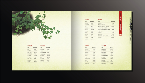 政府企業(yè)畫(huà)冊(cè)宣傳設(shè)計(jì)