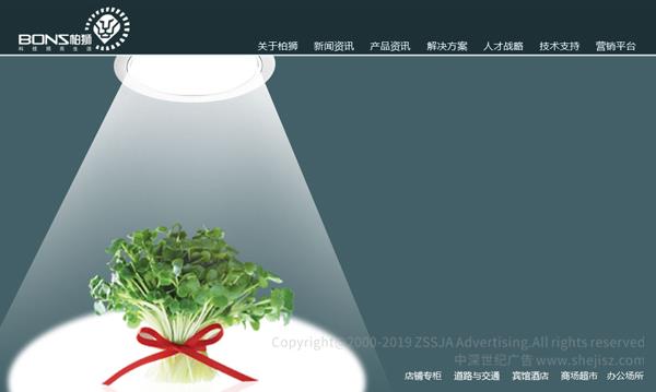 柏獅光電技術有限公司 網站設計