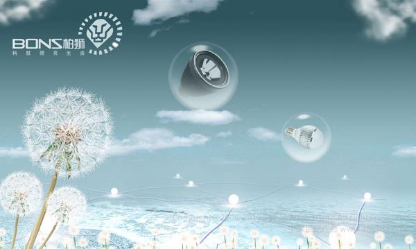 柏獅光電技術有限公司 網站設計