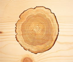 木業(yè)公司品牌宣傳,木地板公司網(wǎng)站設(shè)計