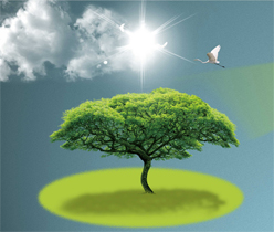 多媒體互聯(lián)網(wǎng)設(shè)計,LED光電公司網(wǎng)站設(shè)計