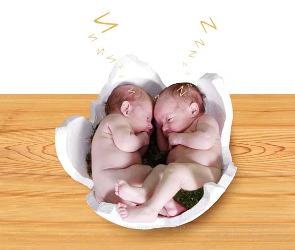 哈爾濱市人和木業有限公司 木地板海報設計