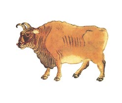 展覽廣告設計,品牌宣傳