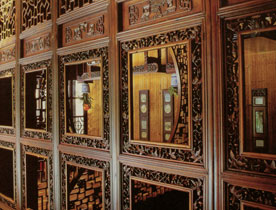 保健品標志設計,食品標志設計,品牌logo設計,深圳標志設計公司