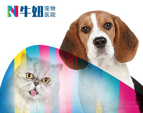 廣州市牛妞寵物醫院 企業商標設計
