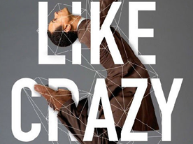 VI設計,導向設計系統,深圳商標設計