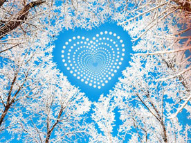 VI設計,字體使用規范,深圳標志設計公司