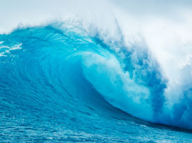 品牌設計公司,深圳商標設計,品牌商標設計