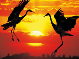 深圳品牌策劃,品牌商標設計,深圳商標設計公司