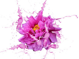 品牌策劃公司,品牌商標設計,深圳標志設計