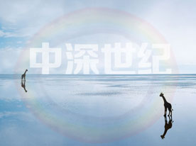 深圳品牌設計公司,品牌商標設計,深圳商標設計