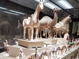 公司商標設計,深圳商標設計公司