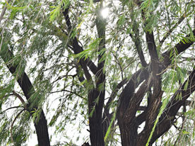 深圳VI設計,深圳商標設計公司