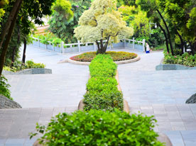 圖書裝幀設(shè)計,深圳商標設(shè)計公司