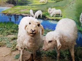 塑造品牌,品牌策劃,深圳標志設計公司