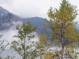 環保袋設計,深圳商標設計公司