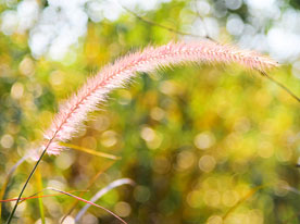 品牌升級,深圳標志設計公司