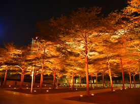 品牌標(biāo)志設(shè)計(jì),深圳標(biāo)志設(shè)計(jì)公司,品牌商標(biāo)設(shè)計(jì)