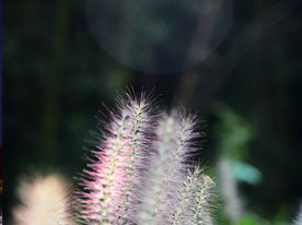 品牌營銷策劃,企業標志設計,深圳商標設計公司