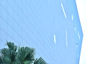 包裝設(shè)計(jì),深圳商標(biāo)設(shè)計(jì)公司