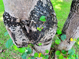 深圳廣告公司,宣傳畫冊設計,深圳標志設計公司