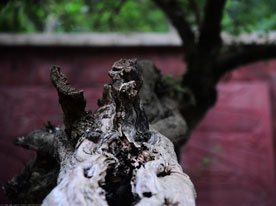 包裝設計,深圳商標設計