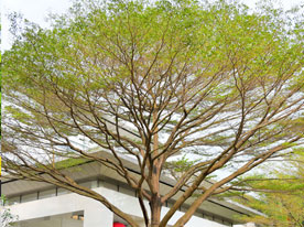 標(biāo)志設(shè)計(jì),日用電器企業(yè)標(biāo)志設(shè)計(jì),深圳標(biāo)志設(shè)計(jì)公司