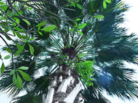 網(wǎng)頁設(shè)計,房地產(chǎn)業(yè)企業(yè)商標設(shè)計,深圳標志設(shè)計公司