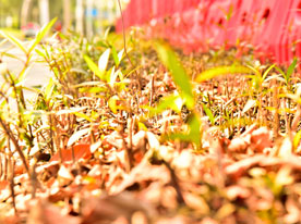 醫(yī)藥商標(biāo)標(biāo)志設(shè)計(jì),深圳標(biāo)志設(shè)計(jì)公司,醫(yī)藥商標(biāo)設(shè)計(jì)公司