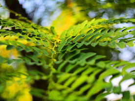 品牌商標設計,深圳標志設計公司,品牌logo設計