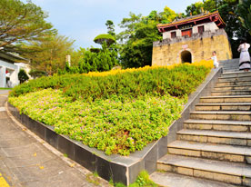 科技、光伏標志設計,深圳標志設計公司,節能行業標志設計