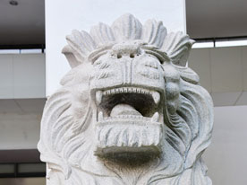 品牌商標(biāo)設(shè)計(jì),深圳商標(biāo)設(shè)計(jì)公司,品牌標(biāo)志設(shè)計(jì)