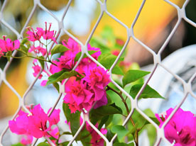 網絡品牌建設,深圳商標設計公司,logo設計公司