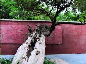 家具標志設計,深圳標志設計公司,家具商標設計公司