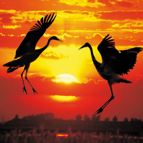 深圳品牌策劃,深圳標(biāo)志設(shè)計,品牌商標(biāo)設(shè)計