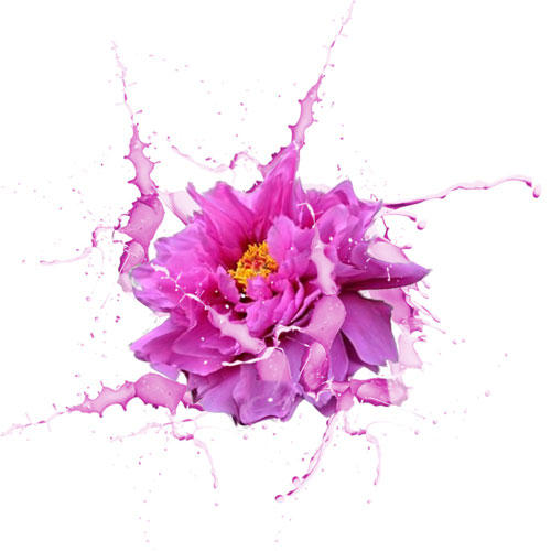 品牌策劃公司,深圳商標設計,品牌商標設計