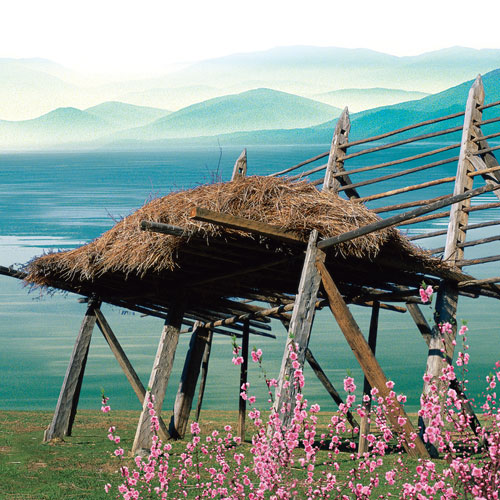 綠色包裝設(shè)計(jì),深圳標(biāo)志設(shè)計(jì)公司,深圳包裝設(shè)計(jì)公司