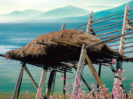 深圳包裝設(shè)計(jì)公司，深圳商標(biāo)設(shè)計(jì)