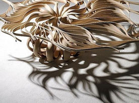 深圳包裝設計公司，深圳商標設計