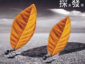 金融企業商標設計，深圳商標設計