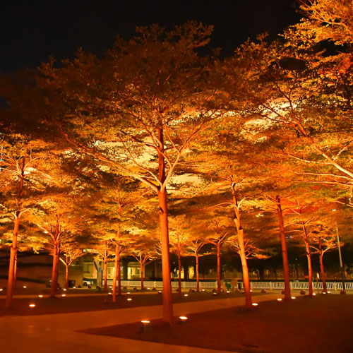 深圳廣告設計,深圳商標設計公司