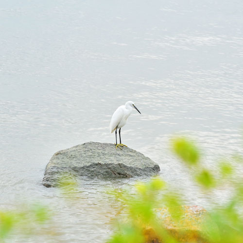 深圳包裝設(shè)計(jì)公司,深圳標(biāo)志設(shè)計(jì) 創(chuàng)意設(shè)計(jì),深圳商標(biāo)設(shè)計(jì)公司