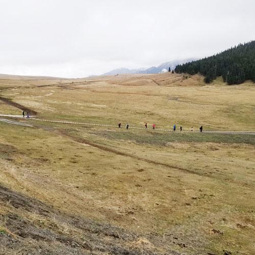 平面設(shè)計公司,深圳標志標設(shè)計 深圳平面設(shè)計,深圳商標設(shè)計公司