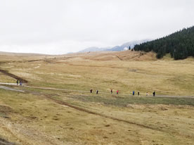 家具企業(yè)標志設(shè)計_深圳平面設(shè)計,深圳商標設(shè)計公司 平面設(shè)計公司,深圳標志標設(shè)計