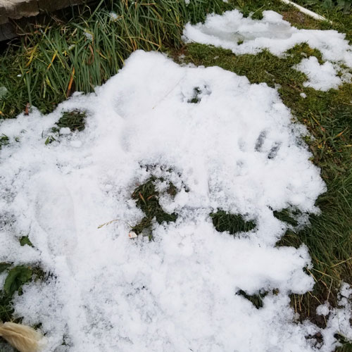 深圳logo設(shè)計(jì)公司,深圳標(biāo)志設(shè)計(jì) 深圳彩頁(yè)設(shè)計(jì),深圳商標(biāo)設(shè)計(jì)公司