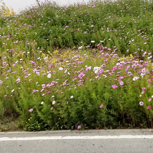 深圳廣告公司,深圳商標設計 低碳設計,深圳標志設計公司