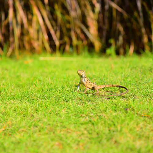 工業(yè)設(shè)計(jì),深圳標(biāo)志設(shè)計(jì) 公司LOGO設(shè)計(jì),深圳商標(biāo)設(shè)計(jì)公司