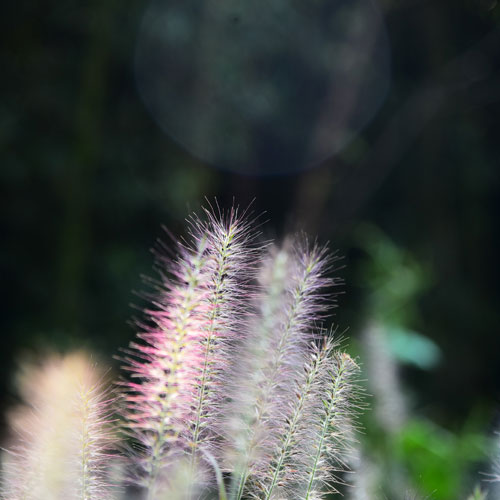 企業LOGO設計,深圳標志標設計 LOGO,深圳商標設計公司