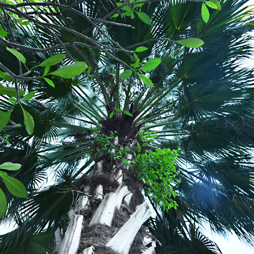 全設(shè)計,深圳標志設(shè)計公司