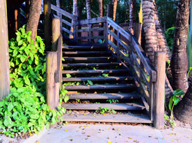 logo設計,深圳商標設計公司 金融行業標志設計,深圳標志設計